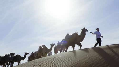 榆林新材料企业mv 《追梦人》