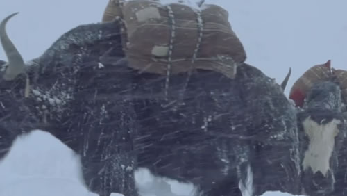 中交二公局 《让你回家的路更短》微视频