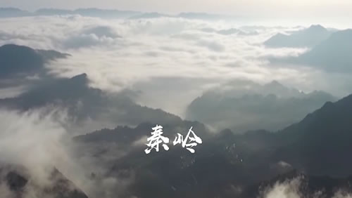 大唐秦岭电厂企业宣传片