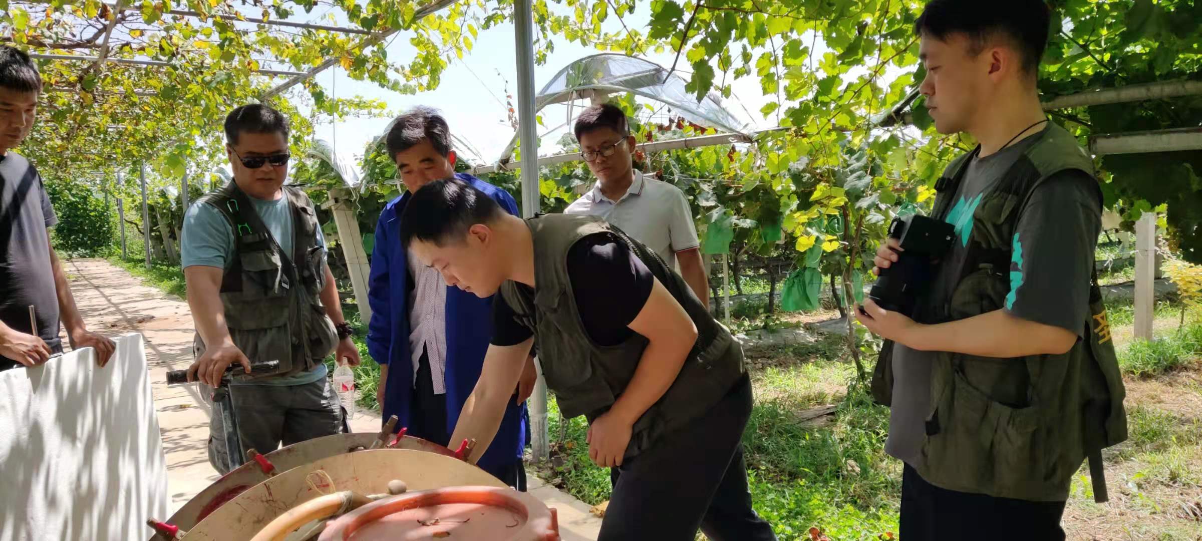 陕西临渭葡萄产业园宣传片拍摄中(图2)